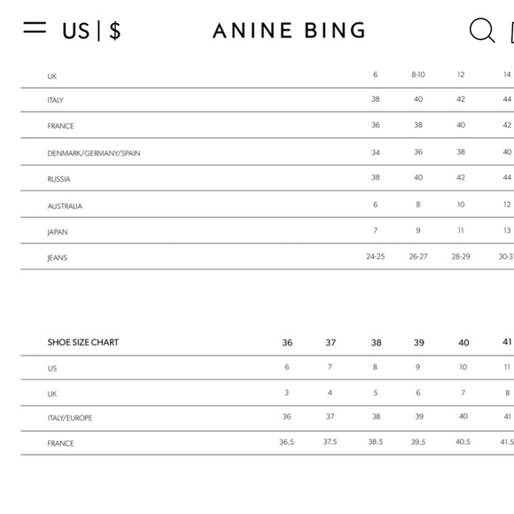 Anine Bing low Charlie boots! - Picture 7 of 7